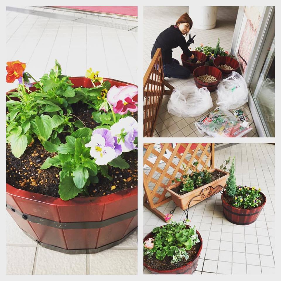 お花♪