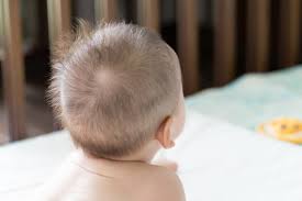 髪の毛の生え変わり。【ヘアサイクル】