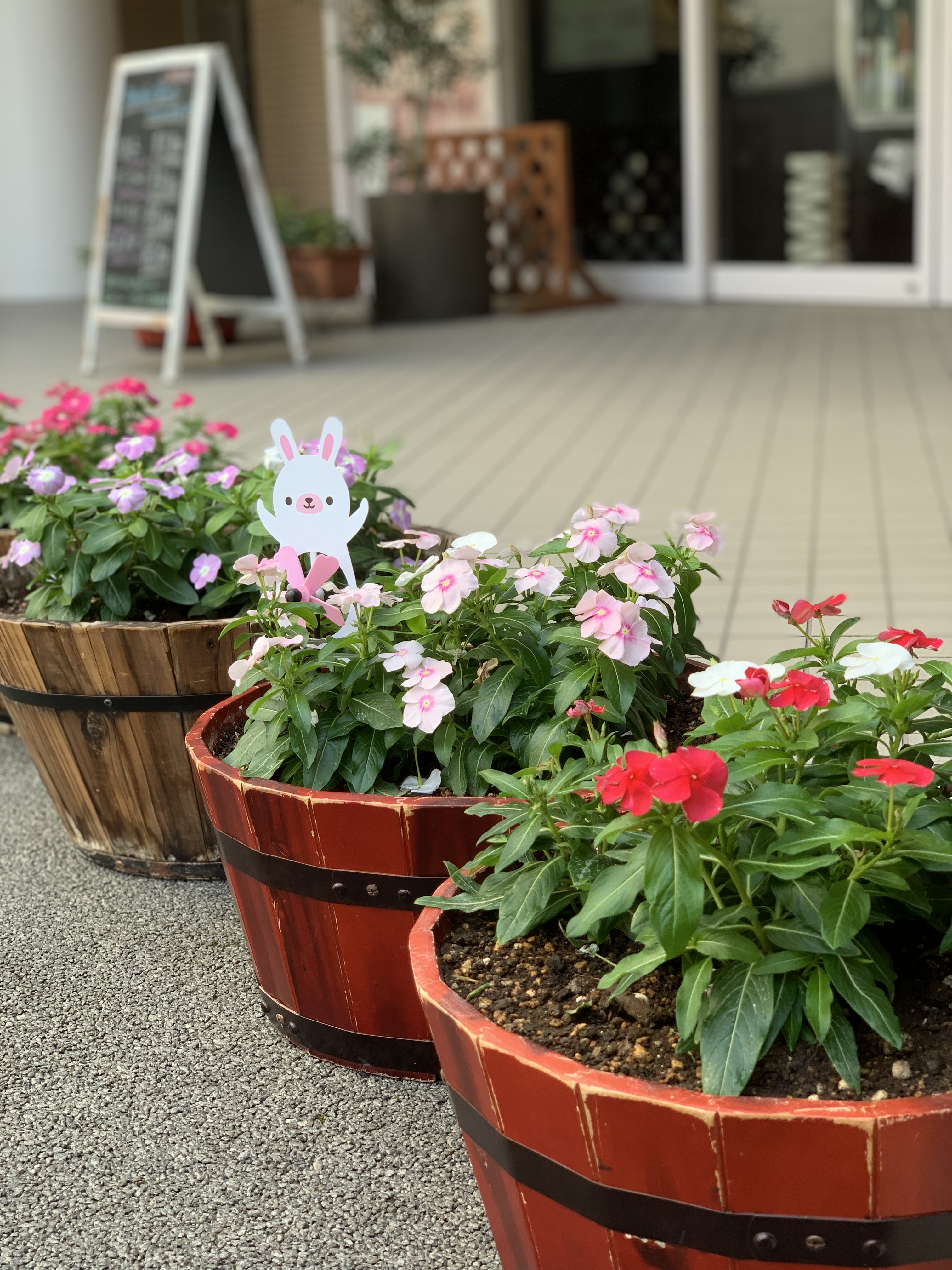 お店の前にいつもきれいなお花を用意しております(^^♪