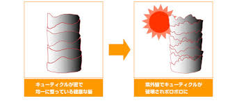 紫外線は髪にも影響大！！
